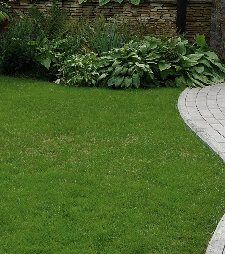 Fertilization Services